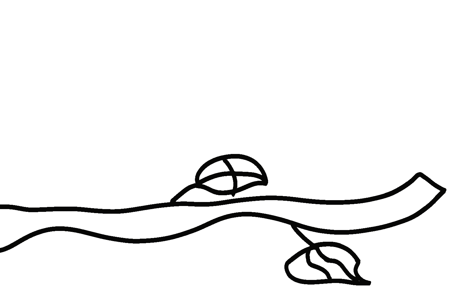 Birdie animation